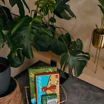 Jumbo Daire Rajecké Teplice